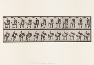 Tallrik 600. Trav; Barbacka; Mörkgrå Dusel av Eadweard Muybridge