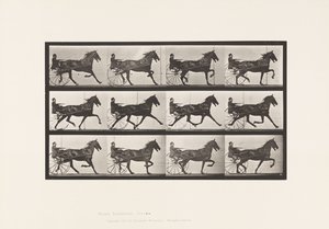Tallrik 606. Trav; Sulky; Bay Horse, Ruben av Eadweard Muybridge