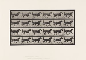 Tallrik 608. Trav; Sulky; Sorrel Mare, Flode Holden av Eadweard Muybridge