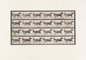 Tallrik 609. Trav; Sulky; Bay Mare, Lizzie M. av Eadweard Muybridge