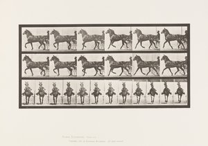 Tallrik 612. Trav; Sulky; Bay Horse, Dereumd av Eadweard Muybridge