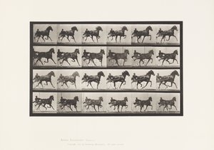 Tallrik 613. Trav; Sulky; Sorrel Mare Nellie Rose av Eadweard Muybridge