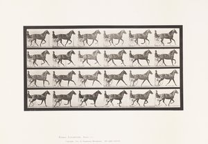 Tallrik 614. Trav; Bryta till galopp; Sorrel Sto Flode Holden av Eadweard Muybridge