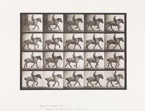 Tallrik 615. Galopp: Barbacka; Mörkgrå belgisk häst Hansel av Eadweard Muybridge
