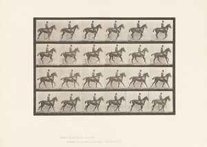 Tavla 616. Galopp; Sadel; Bay Horse Daisy av Eadweard Muybridge