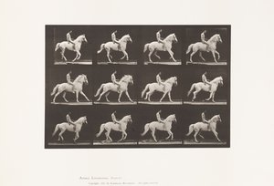 Tavla 617. Galopp; Barbacka; Ryttare, 106, naken; White Horse Clinton, 1885 av Eadweard Muybridge