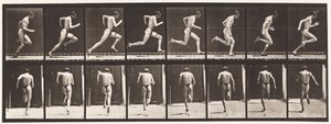 Skylt 61. Springa i full fart (Ofullkomlig action, skor) av Eadweard Muybridge