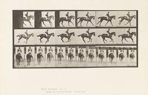 Tallrik 620. Galopp; Sadel; Fullblods Bay Mare Annie 6. av Eadweard Muybridge