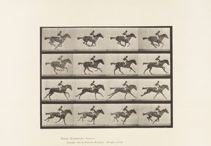 Tallrik 626. Galopp; Fullblods Bay Mare Annie G. av Eadweard Muybridge