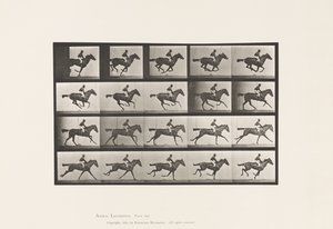 Tallrik 627. Galopp; Fullblods Bay Mare Annie G. av Eadweard Muybridge