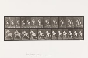 Tallrik 630. Galopp; Sadel; Grå sto Pandora av Eadweard Muybridge