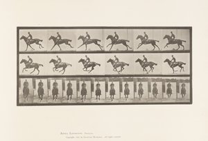 Tallrik 631. Galopp; Sadel; Fullblod Bay Horse Bukett av Eadweard Muybridge