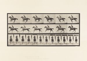 Tallrik 632. Galopp; Sadel; Fullblod Bay Horse Bukett av Eadweard Muybridge