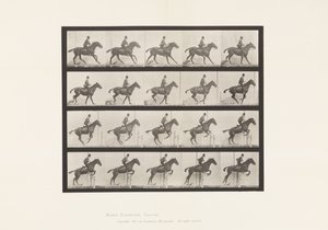 Plåt 636. Hoppa ett hinder; Sadel; Förbereder sig för språnget av Eadweard Muybridge