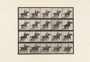 Plåt 638. Hoppa ett hinder; Sadel; Bay Horse Daisy av Eadweard Muybridge