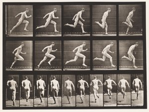 Plåt 63. Kör i full fart. av Eadweard Muybridge