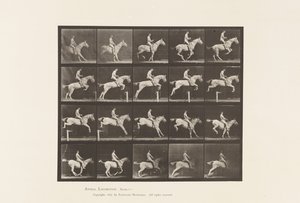 Tavla 642. Hoppa ett hinder; Sadel; Ryttare, 105, naken; Grå sto, 1885 av Eadweard Muybridge