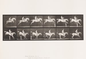 Platta 643. Hoppa ett hinder; Barbacka; Röjning och landning; av Eadweard Muybridge