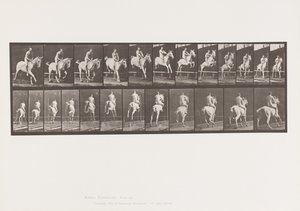 Plåt 647. Hoppa ett hinder; Barbacka; Ryttare av Eadweard Muybridge