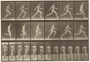 Plåt 64. Kör i full fart av Eadweard Muybridge