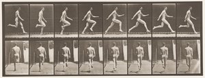 Plåt 65. Running at full speed., 1872-1885 av Eadweard Muybridge