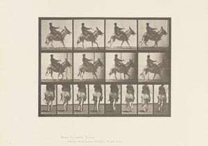 Tallrik 668. Ass; Ambling; Sadel; En pojke som rider, Zoo av Eadweard Muybridge