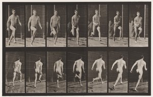 Plåt 66. Löpande av Eadweard Muybridge