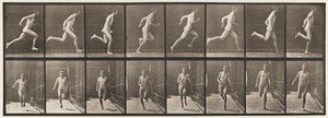 Plåt 67. Running, 1872-1885 av Eadweard Muybridge