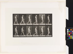 Plåt 6.Gå av Eadweard Muybridge
