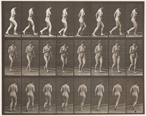 Plåt 70. Running., 1872-1885 av Eadweard Muybridge