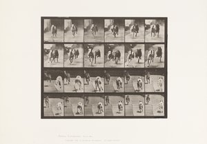 Tallrik 711. Hundar; Två Racing; A, B; Racing Hounds, Ike & Maggie av Eadweard Muybridge