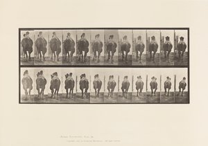 Tavla 742. Bactrian Camel; A, Ställning; B, Galopperande av Eadweard Muybridge