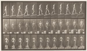 Plåt 74. Stigande lutning, vinkel 1 på 4 av Eadweard Muybridge