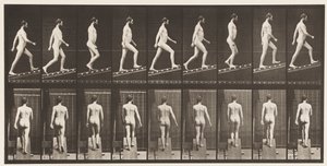 Plåt 75. Stigande lutning, vinkel 1 på 4, 1872-1885 av Eadweard Muybridge
