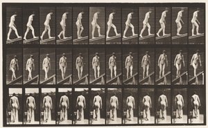 Plåt 76. Stigande lutning av Eadweard Muybridge