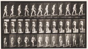 Plåt 77. Stigande lutning av Eadweard Muybridge