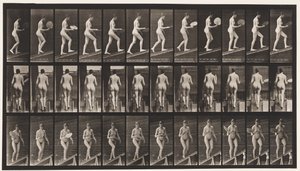 Plåt 78. Ascending Incline, Flirting A Fan, 1872-1885 av Eadweard Muybridge