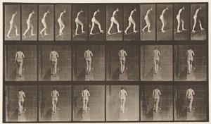 Plåt 79. Stigande lutning av Eadweard Muybridge