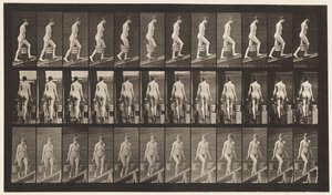 Plåt 81. Stigande lutning. av Eadweard Muybridge