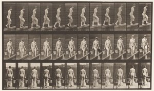Tavla 82. Stigande lutning, hink med vatten i varje hand av Eadweard Muybridge