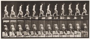 Plåt 83. Stigande lutning, hink med vatten i höger hand av Eadweard Muybridge