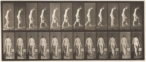 Plåt 84. Stigande lutning, hink med vatten i höger hand av Eadweard Muybridge