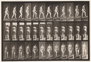 Plåt 86. Stigande lutning av Eadweard Muybridge