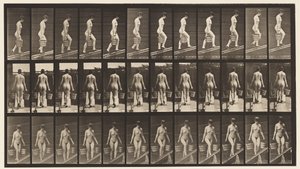 Tavla 87. Stigande lutning, hink med vatten i varje hand av Eadweard Muybridge