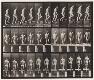 Plåt 88. Uppstigande trappor, 1872-1885 av Eadweard Muybridge