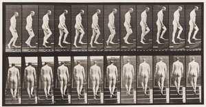 Plåt 89. Uppstigningstrappa av Eadweard Muybridge