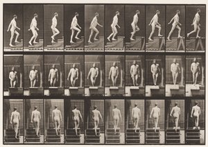 Tavla 90. Uppåtgående trappa av Eadweard Muybridge
