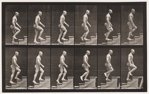 Tavla 91. Uppstigningstrappa av Eadweard Muybridge