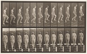 Tavla 92. Uppstigningstrappa av Eadweard Muybridge