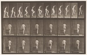 Tavla 93. Uppstigningstrappa av Eadweard Muybridge